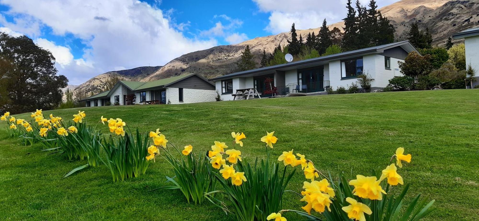 Wanaka Top 10 Holiday Park Екстер'єр фото